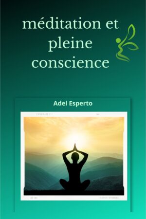Méditation et pleine conscience